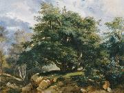 Jules Coignet Old Oak in the Forest of Fontainebleau Germany oil painting artist